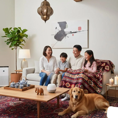 Home Accessories - DS World