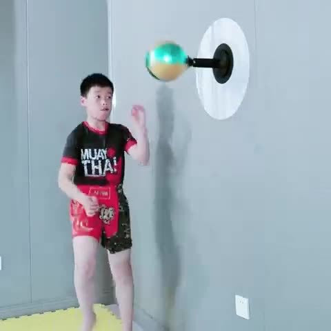 Desktop Boxing Speed Ball