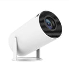 White / American Standard