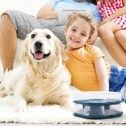 Reusable Bugs Trap Box Cockroach Trap Catching Roaches Tool Drop-proof Wear-resistance No Peculiar Smell Automatic Bugs Catcher DS World