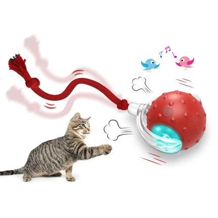 Interactive Cat Toy Ball Super Drive Cat Rolling Ball DS World